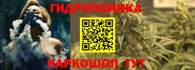 шишки Анжеро-Судженск