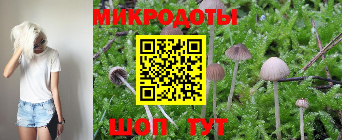 Вятские Поляны  Псилоцибиновые грибы Magic Shrooms  продажа наркотиков  Вход с VPN 